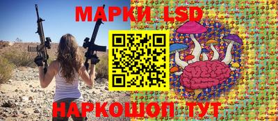 шишки Можга