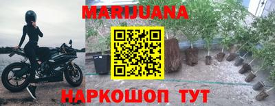 шишки Можга