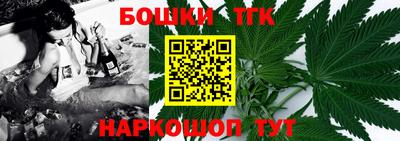 шишки Можга