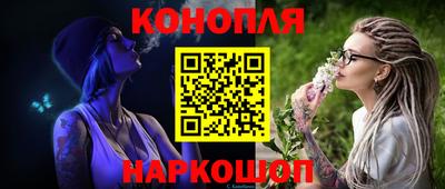 шишки Можга