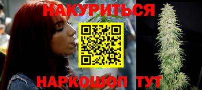 шишки Можга