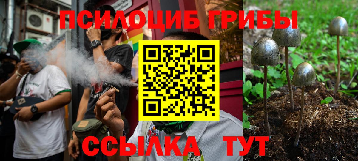 Волжский  Галлюциногенные грибы Cubensis  Вход с VPN  Галлюциногенные грибы ЛСД 